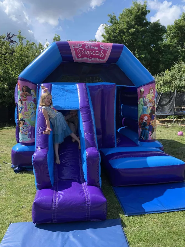 Purple And Blue Princess Castle With Front Slide