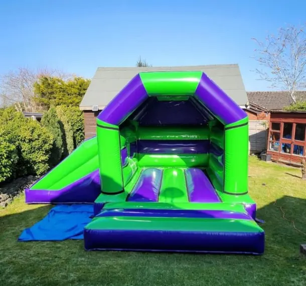 Plain Green And Purple Castle With Side Slide