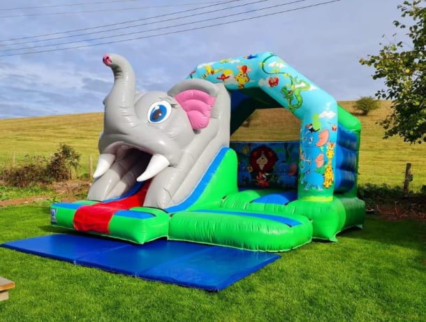 Jungle Castle And Slide Combination