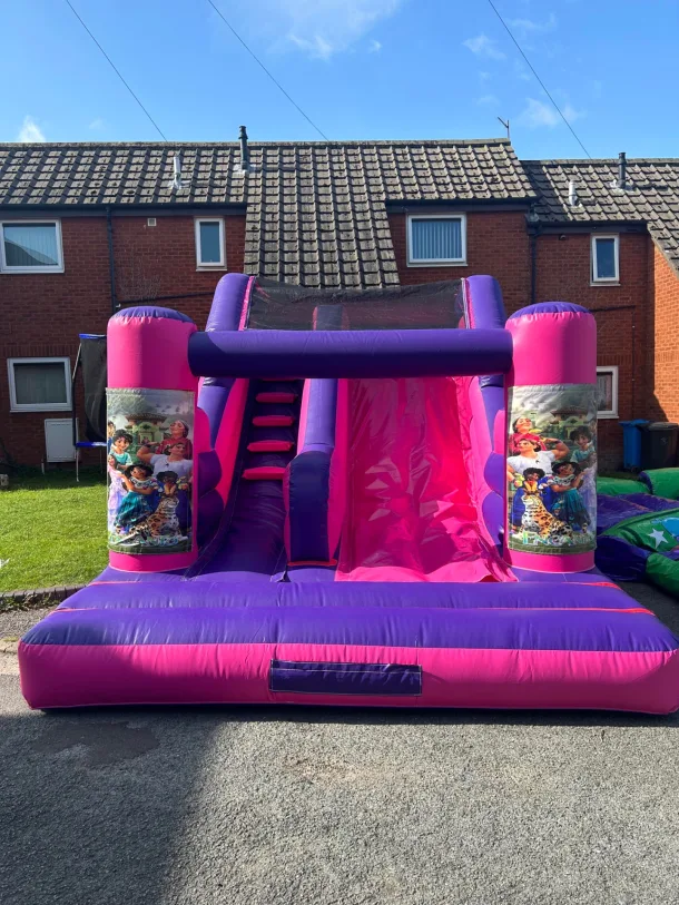 Pink And Purple 5ft 6 Platform Slide Encanto