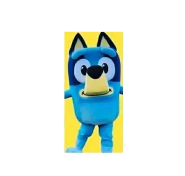 Bluey Mascot Hire