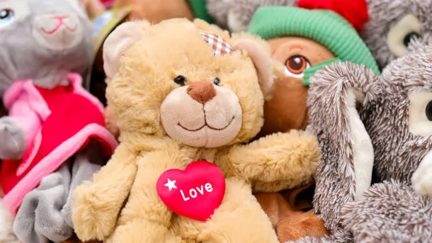 Big Make-a-bear Party 8 Inch Bears