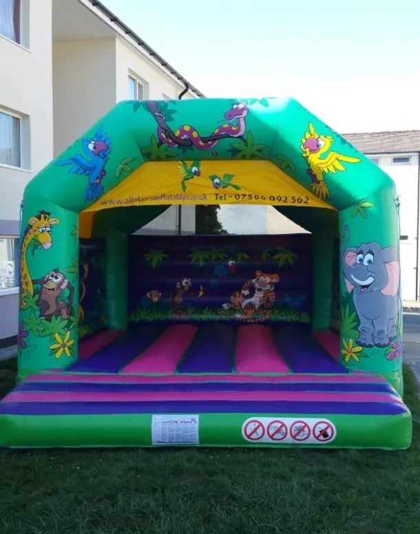 18ft X 18ft Adult Jungle Bouncy Castle Hire