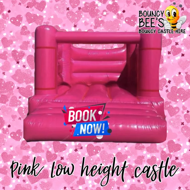 Pink Castle Hire