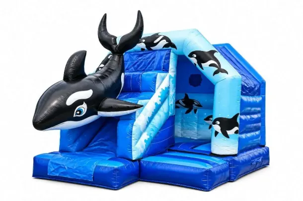 Orca Whale Bounce And Slide