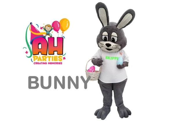 Bunny Mascot