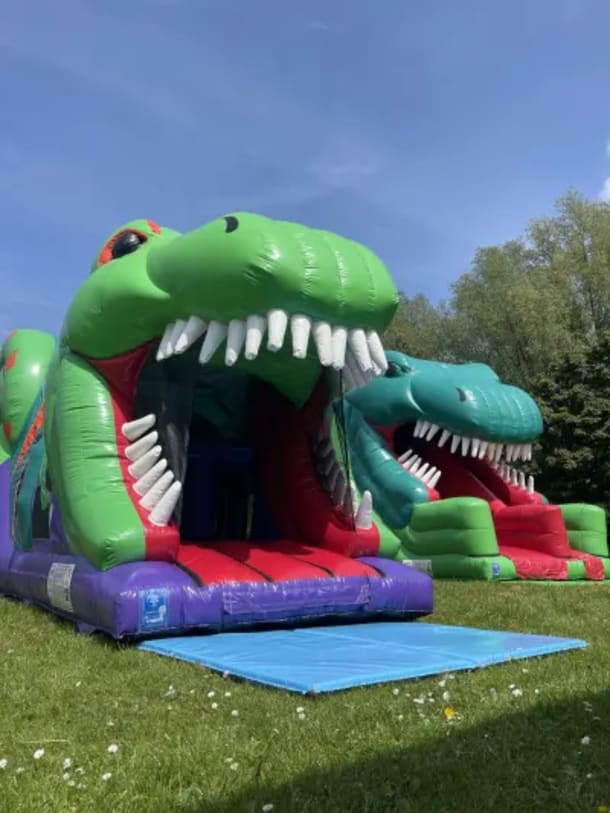 Double Dinosaur 3d Package