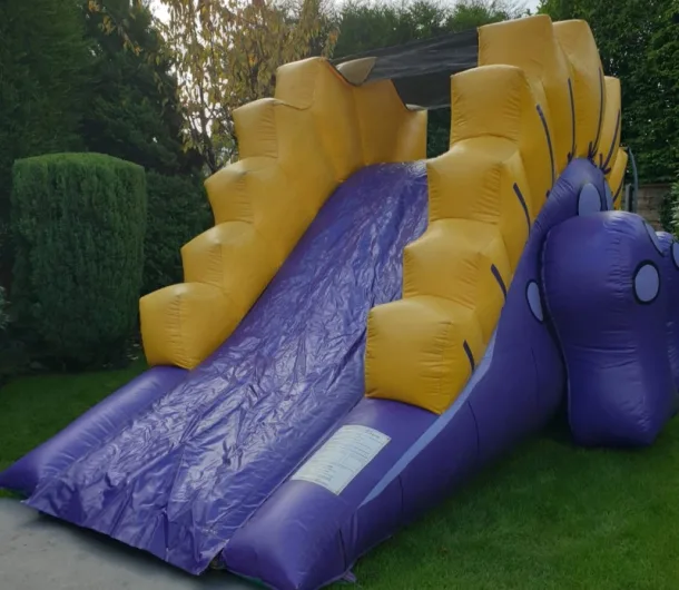 Dinosaur Assault Course 1