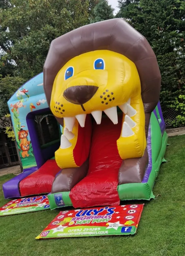 3d Lion Slide