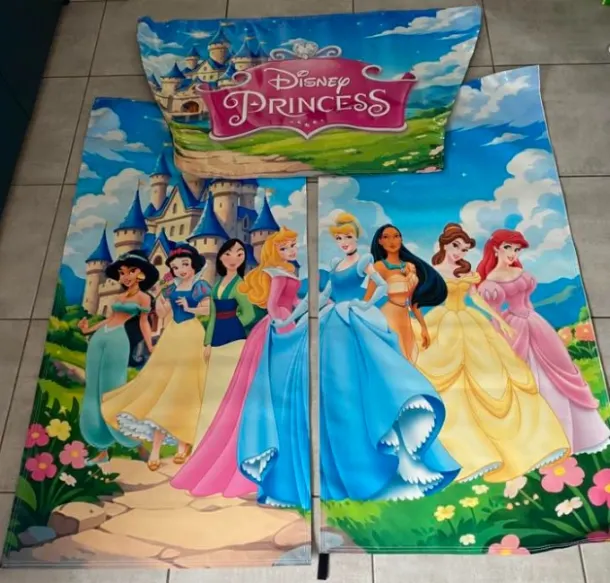 New Disney Princess Artwork
