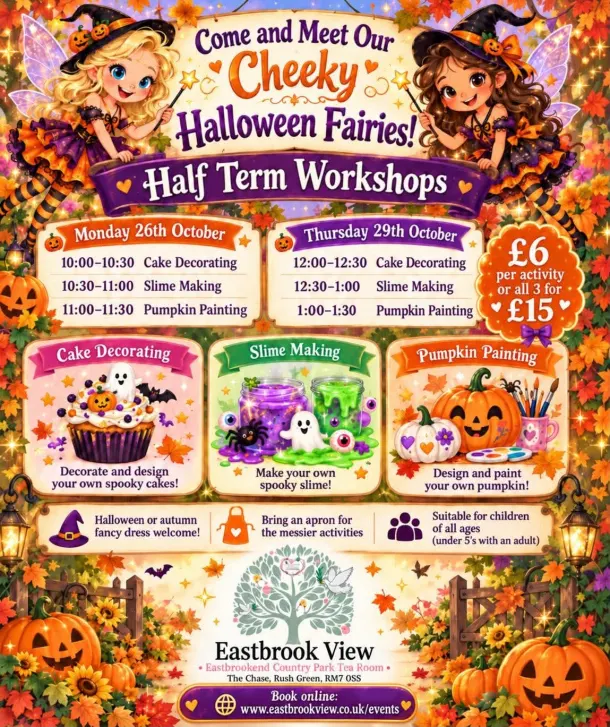 Cheeky Halloween Fairies Half Term Workshops