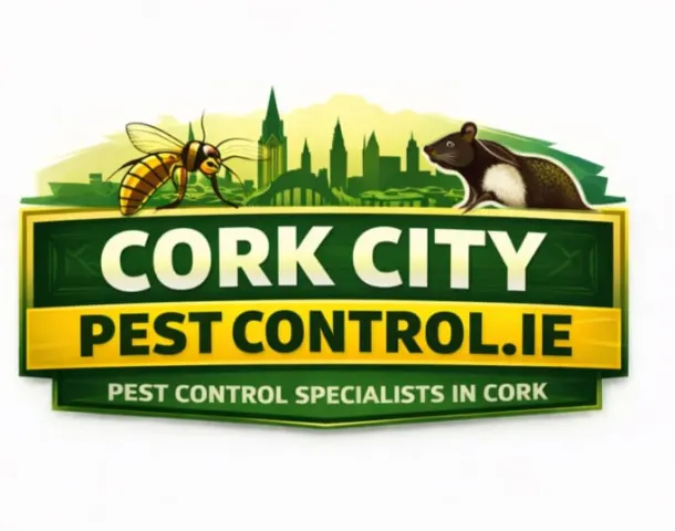 Crawling Insects And Spiders