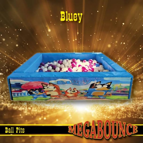 Bluey Ball Pit