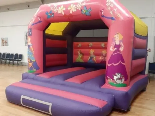 Princess Party Package Deal