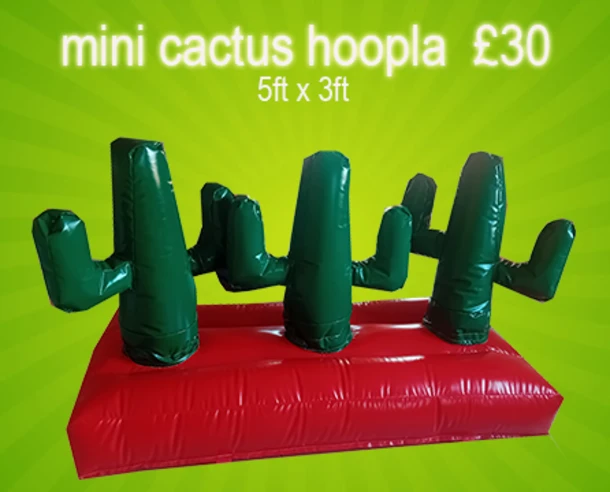 Mini Cactus Lasso