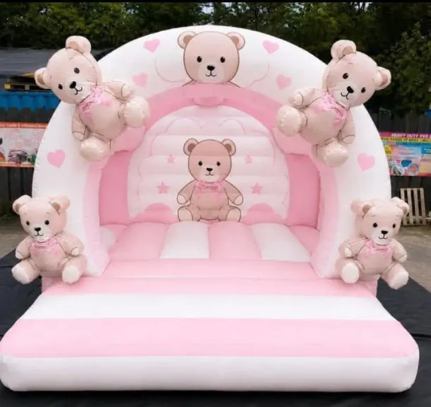 3d Teddy Bear Toddler Bouncy Castle