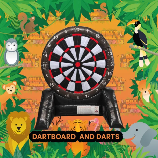 Dartboard  And Darts