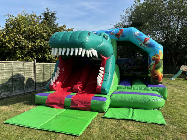 Dinosaur 3d Twin Slide Bouncy Castle