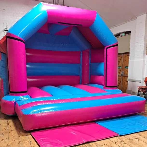 Pink And Blue Bouncy Castle