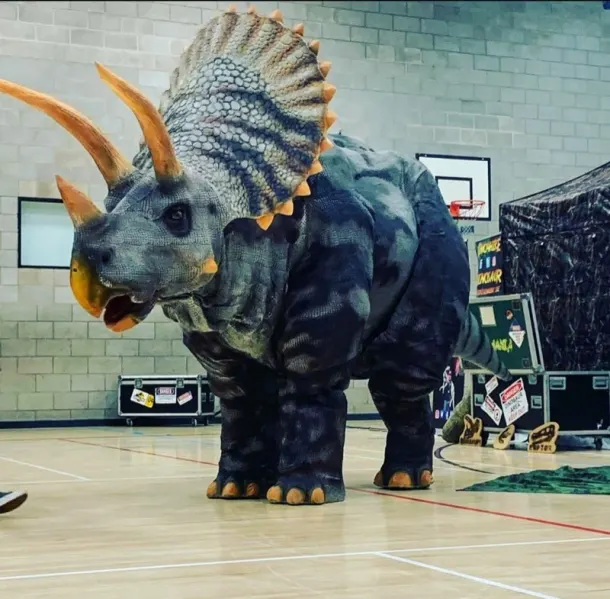 Full Size Triceratops