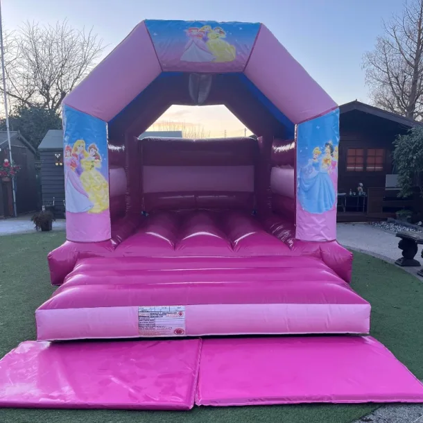 Pink Disney Princess Castle