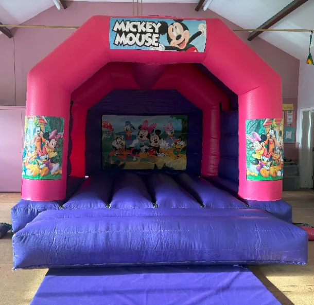 15ft X 12ft Pink And Purple Castle - Disney Theme