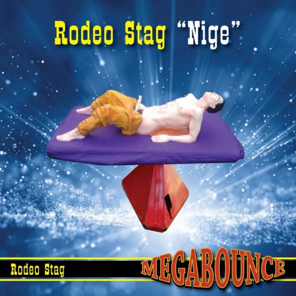 10am - 3pm Time Slot Rodeo Bull Hire - Stag Skin