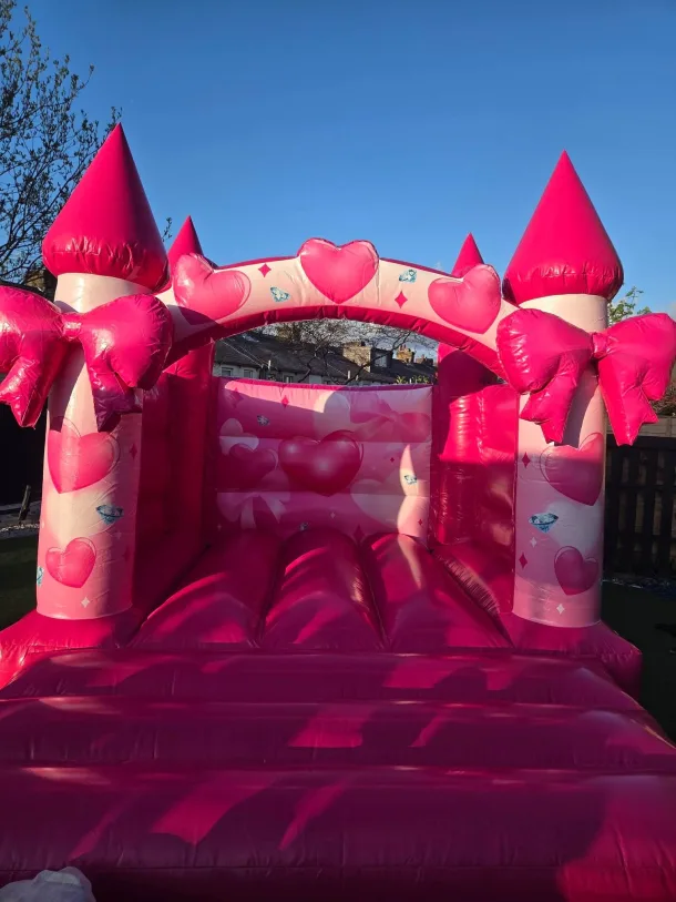 10ft X 12ft 3d Pink Bow Castle