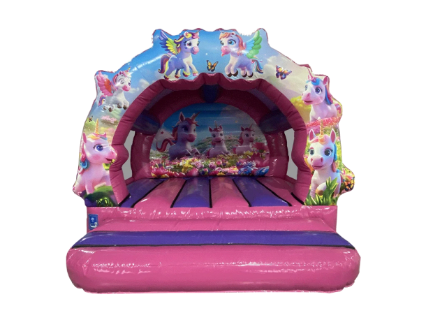 Unicorn Bouncy Castle Curved