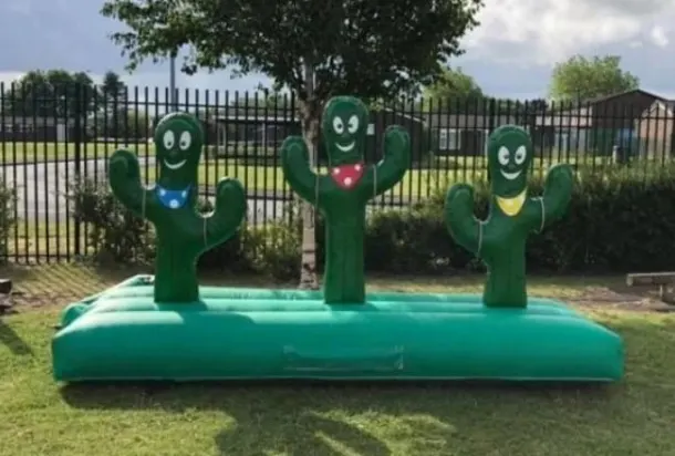 Inflatable Cactus Hoopla Game