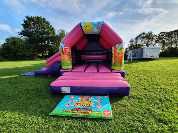 Horses Pink And Purple Disco Side Slide Combi Bouncy Castle