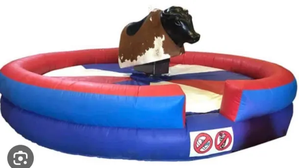 Rodeo Bull - 1.5 Hour Hire