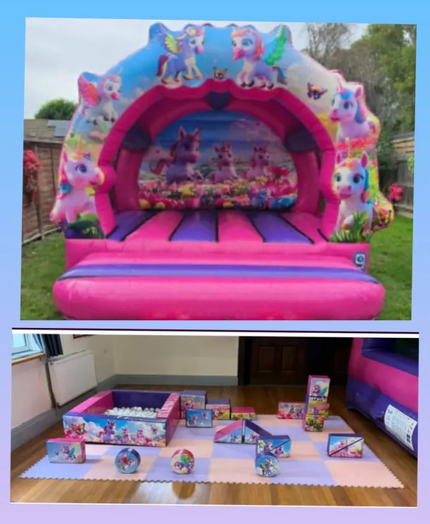 3d Unicorn Contour Package