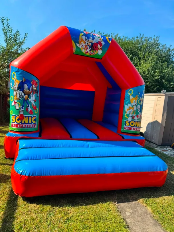 12ft X 14ft Sonic Themed Castle