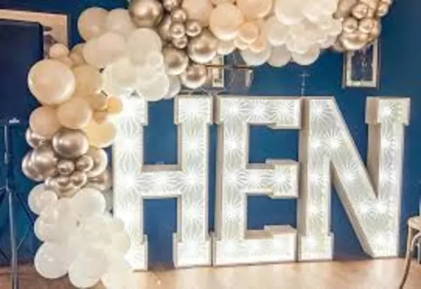 4ft Light Up Hen