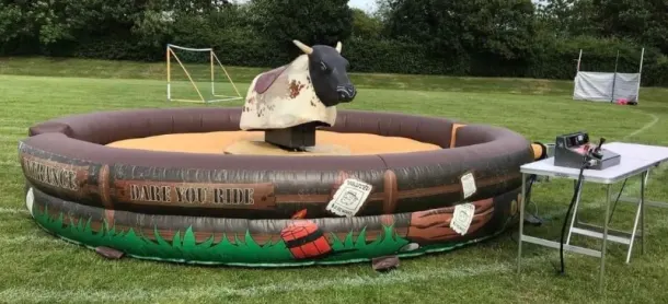 Rodeo Bull