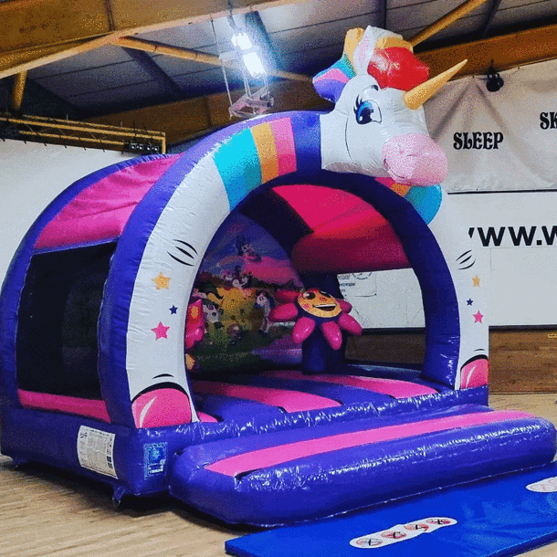 Unicorn 3d Bouncy Castle