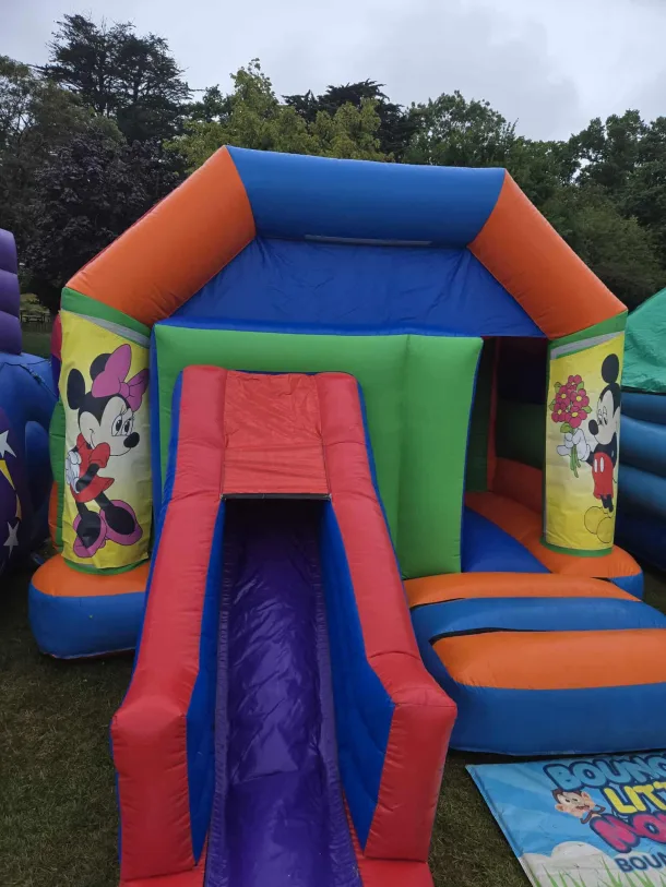 Multi Coloured Bounce Combi - Mickey And Minnie