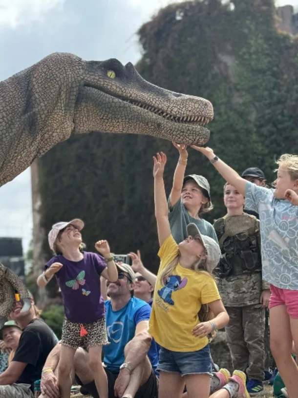 Dinomania Dino Discovery Zone