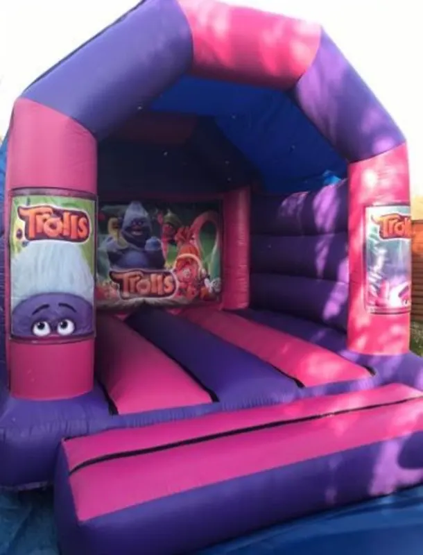 12ft X 12ft Pink And Purple - Trolls Theme