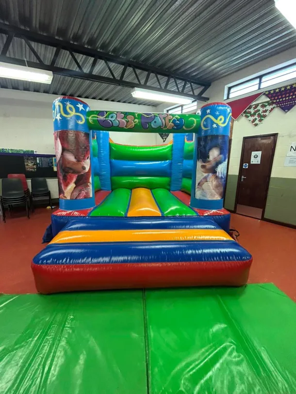 Rainbow Sonic Castle Hire