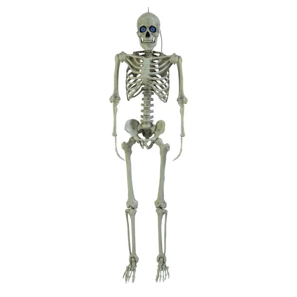 Life-size Skeleton With Moving Digieyes