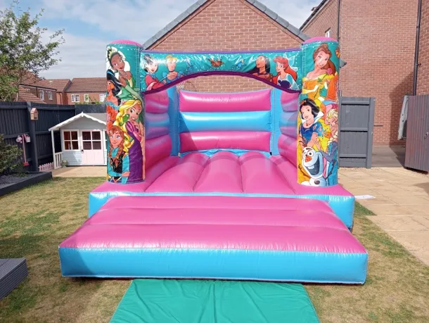 Frozen Bouncy Castle With Anna And Elsa In Bourne Lincolnshire