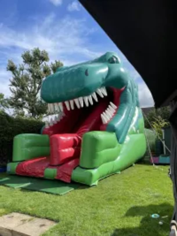 3d Dinosaur Mega Slide 10ft Platform