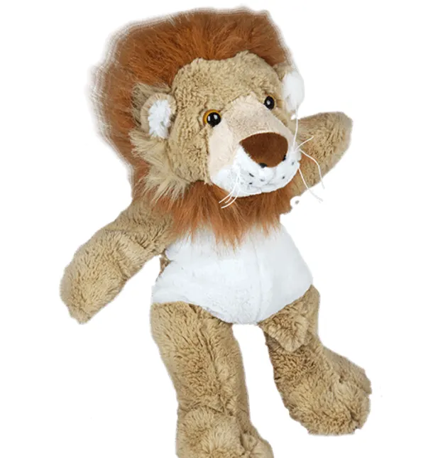 Dandy Lion
