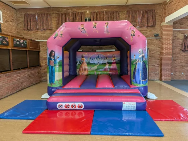 Pink Princess Castle