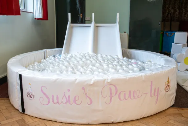 White Ball Pit And Double Slide