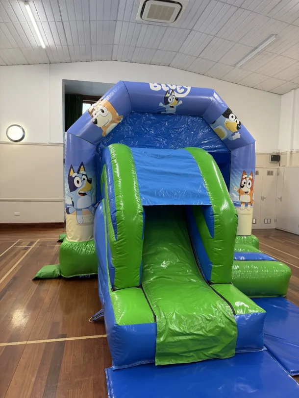 12ft X 18ft Blue And Green Combi - Bluey Artwork