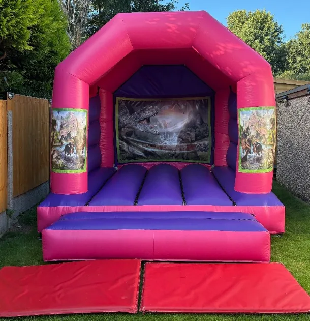 12ft X 12ft Pink And Purple Castle - Dinosaur Theme