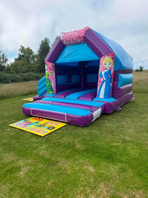 Princess Side Slide Disco Castle